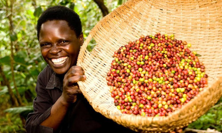 ‘Vinci, the Lubowa hospital investor has our best interests, we shall invest   $80m  as part of the coffee deal’ - Ggoobi