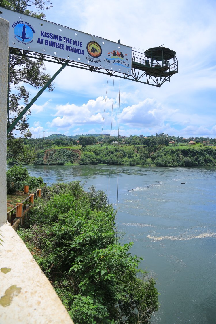 Journey of the Brave, Bungee Jumping - A Thrill-Seeker's Paradise (Leap of Faith)