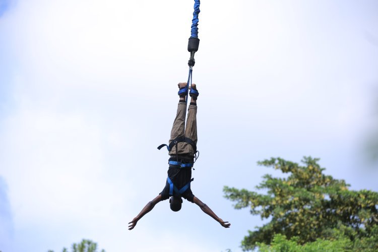 Journey of the Brave, Bungee Jumping - A Thrill-Seeker's Paradise (Leap of Faith)