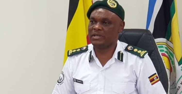 Gov't Grapples with 50,000 Unclaimed Passports, Mulls Destruction