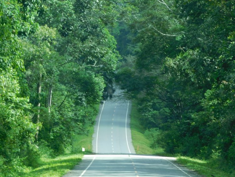 No Way Through Murchison Falls N.P Past 7pm - Says UWA