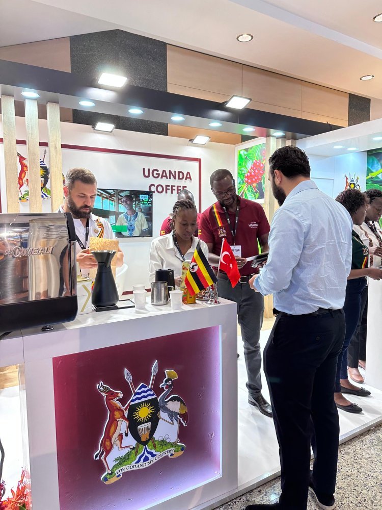 Uganda's Coffee Exports to Turkey Soar as Embassy Intensifies Commercial Diplomacy Efforts